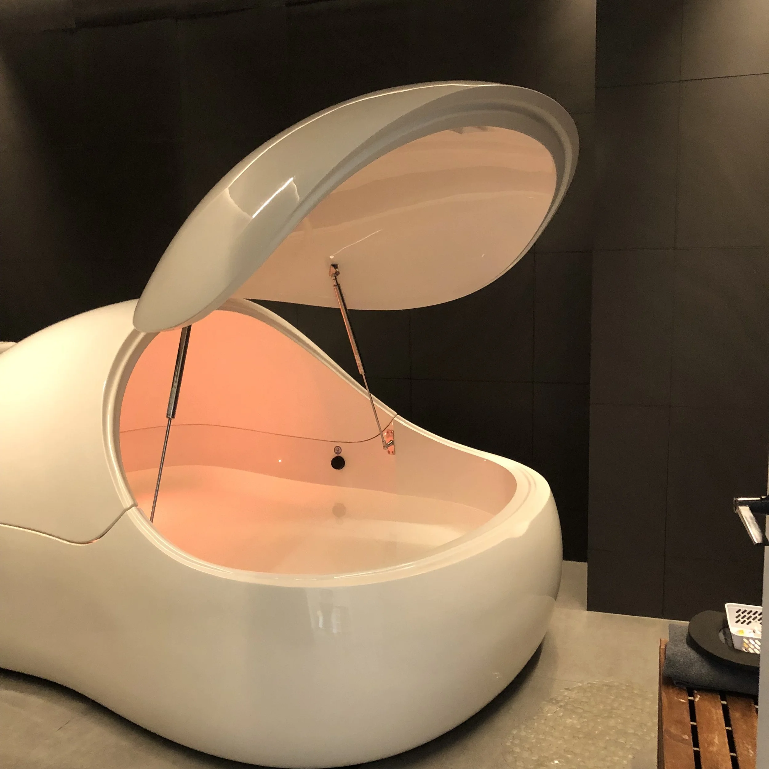 4 Isopod Pods - view 2